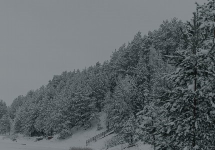 ������ʹ��������ѡ61��