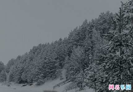 揪心疼痛的网名精选61个 揪心疼痛的网名精选61个
