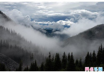 ��������Ů����ѡ61��