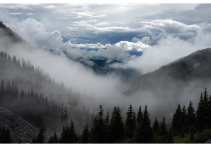 ��һ�޶�Ӣ������2023��ѡ42��