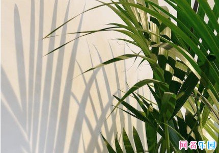 优雅网名女生简单气质