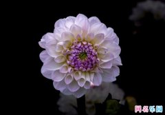 ��ϡ��Ů������ ���غ�����Ů������