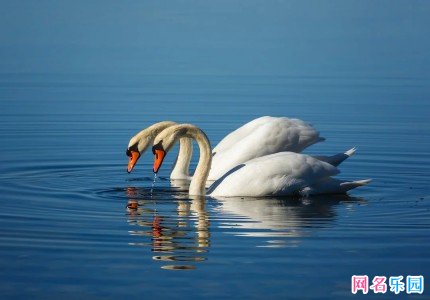 ����С�ɰ����� �����ֿɰ�������