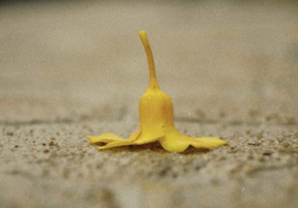 ���������ǳƾ�ѡ58��