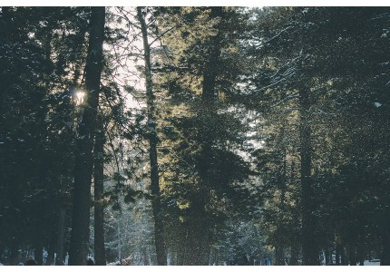 ʱ���ǳ�������ѡ58��