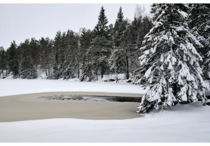 �й��µ������ǳƼ�� һ�����ǹ��µ�����