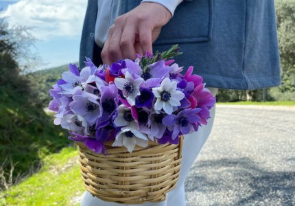 ����Ӣ������Ů���ɰ� ����ɭϵӢ����