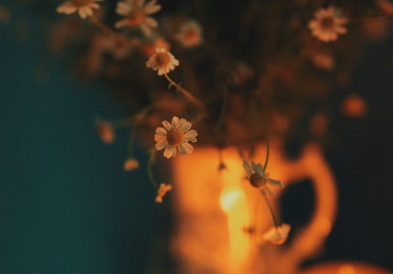 qq��������Ů���˸У���ѡ53����