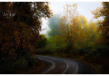 �ǳ��˸�������ʹ����������ѡ52����