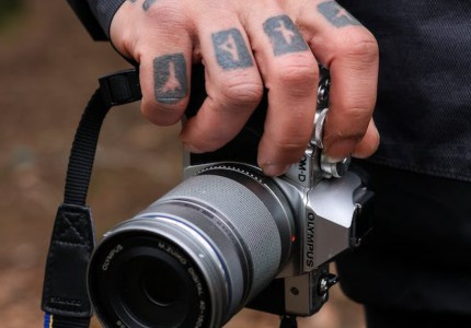 Ӣ�����˼����ʸе�ID����ѡ59����
