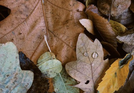 �������籬Ц�û������Ƽ�60����