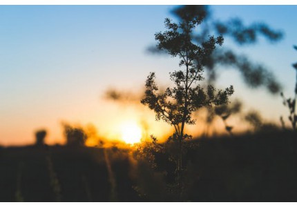 Ů�������������ǳƣ���ѡ63����