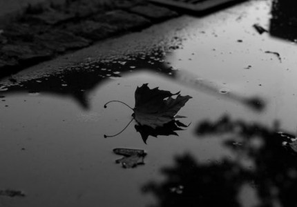 ���ξ��޺����Ľ�ɫ������ѡ61����