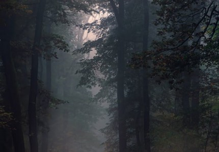 Ů��ϲ����������ȫ���Ƽ�59����