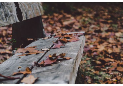 Ů��ר����ϷID����64����