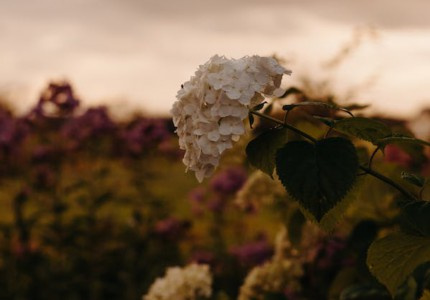 �ʵ���Ϸ����С�ڣ��Ƽ�61����