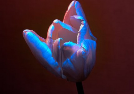 �ǳ�ʹ���ѹ��ĸ����ǳƣ���ѡ57����