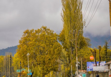 ��Խ������ϷID����ѡ62����