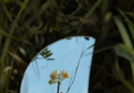 Ů��QQ������������ѡ63����