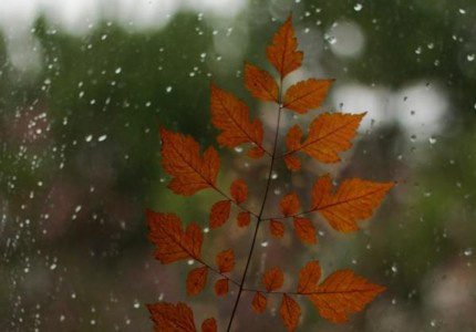 ʫ�ⰻȻ��Ů��������ѡ63����