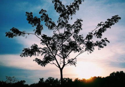 һ�����ĵ�������