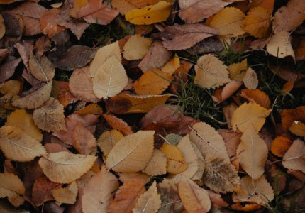 ����ײ�����ʵ���������